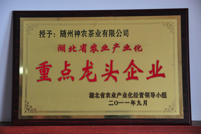 重點龍頭企業
