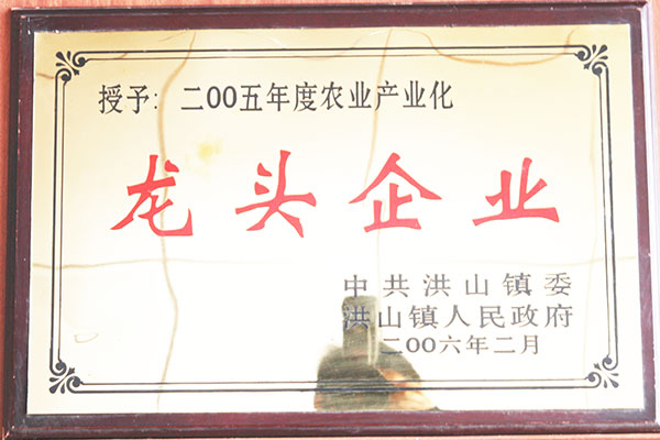 龍頭企業