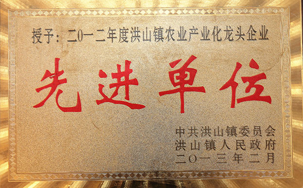 龍業產業化龍頭企業先進單位